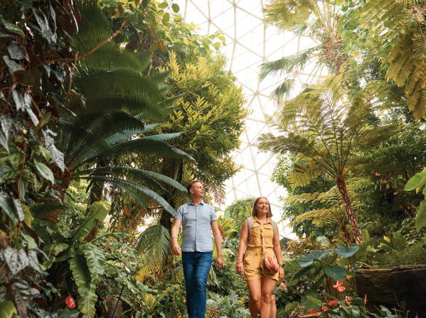 Two adults walk along a lush indoor garden path beneath a glass-domed ceiling, surrounded by tall palms, ferns and tropical plants inside a conservatory.