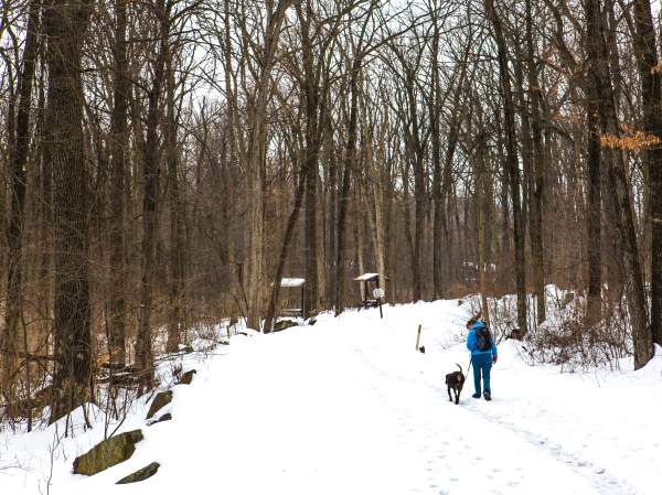 A person and their dog walking along a snowy trail through the winter forest