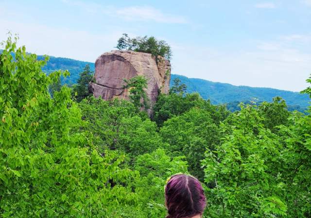 Best hikes red river gorge best sale