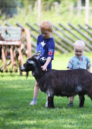 Barn hilser på en geit i Tangen dyrepark
