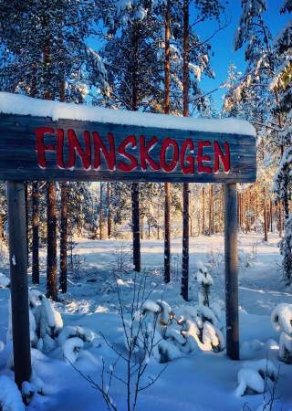 Finnskogen ved Gravberget gård