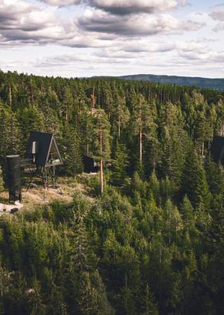 Dronebilde fra PAN Tretopphytter