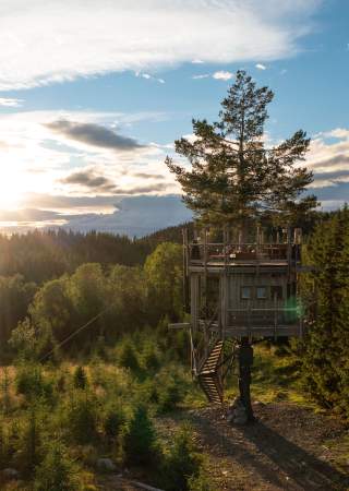 Tretopphytter Brumunddal, Utsiktshytta i solskinn