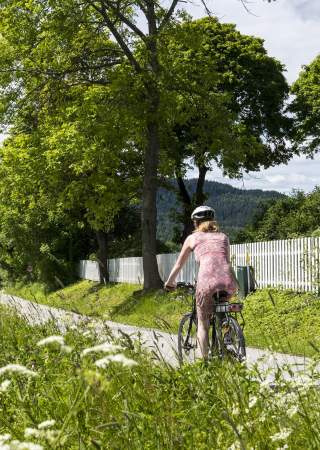Sykle gjennom vakker natur nær Sløvika i Hadeland