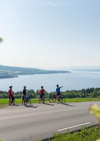 Utsikt over Mjøsa langs sykkelruta Mjøstråkk