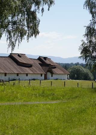 Veien Kulturminnepark - Langhuset sett fra skogen