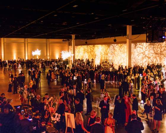 OSF Angel Ball 2024
