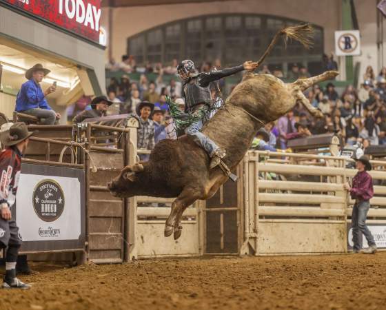 Bull Riding