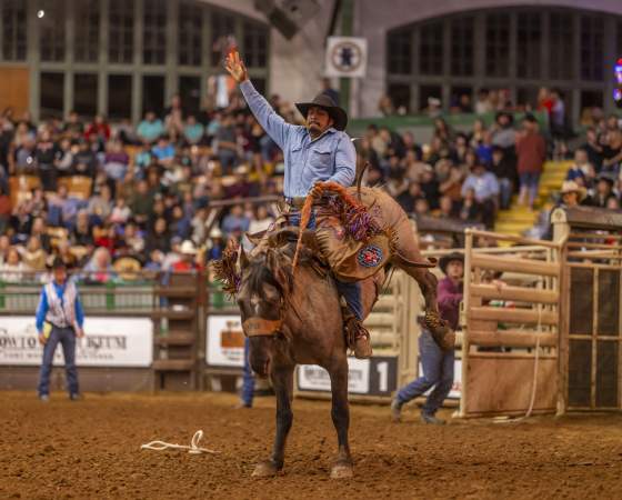 Rodeo Horseback