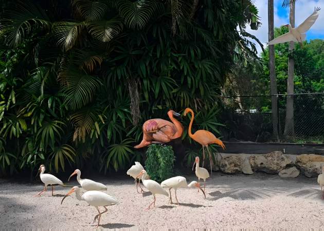 Flamingo Gardens - Avi Ram