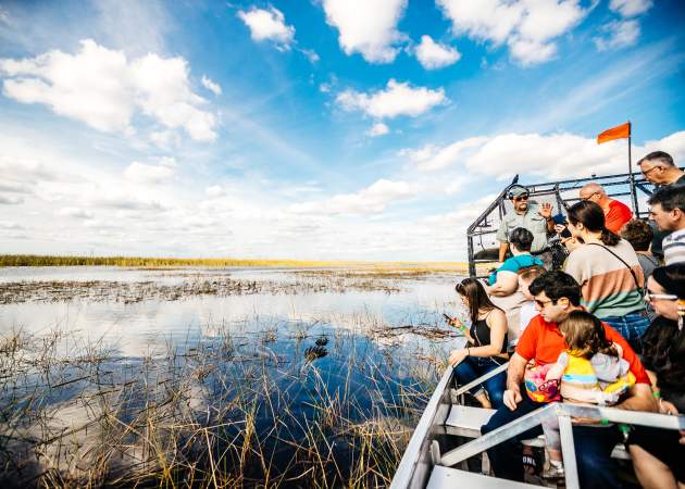 Passengers get an up-close look at an alligator on an airboat ride through Sawgrass Recreation Park.