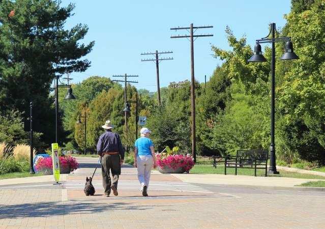 A senior couple walking with their dog on the B-Line Trail
