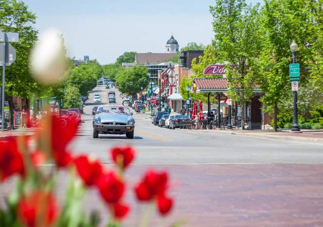 Classic car drives past tulips on Kirkwood in Bloomington