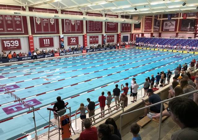 usa swimming