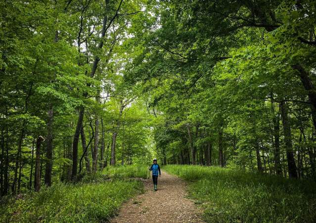 Boy walking on a path surrounded by trees carrying a walking stick at the Amy Weingartner Branigin Peninsula