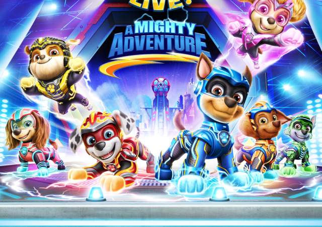 Paw Patrol Graphic