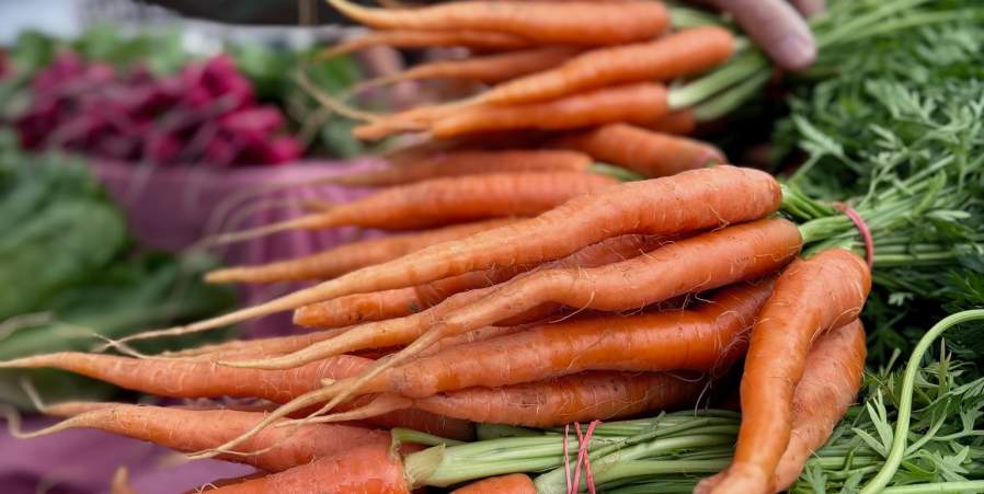 Fresh Finds & Community Vibes: Plan Your Trip to the Kennett Square Farmers Market