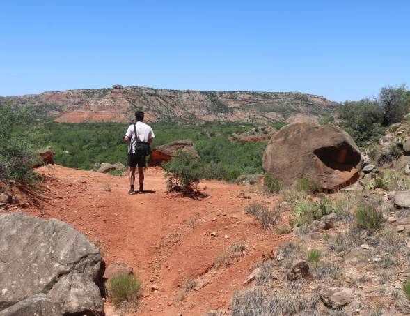 man overlooking palo duro canyon from a trail