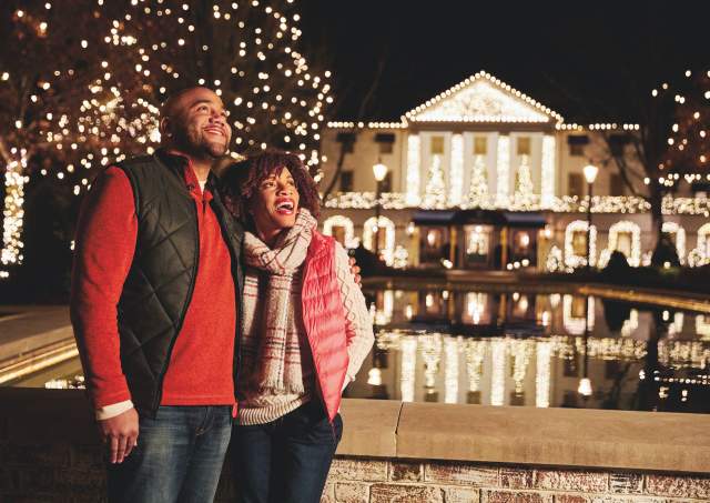 The Best Holiday Lights Displays in Williamsburg