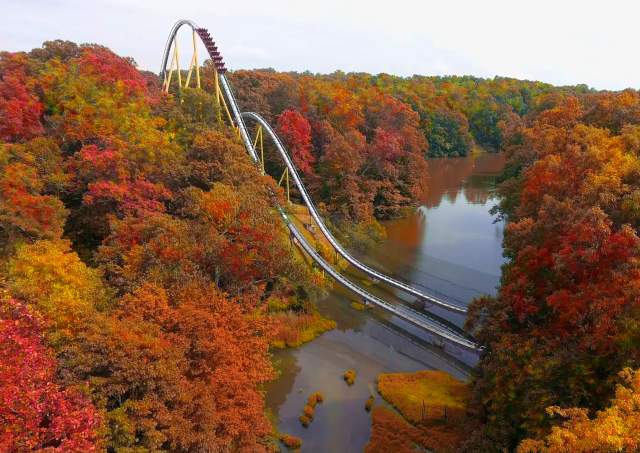 Fall Happenings in Williamsburg