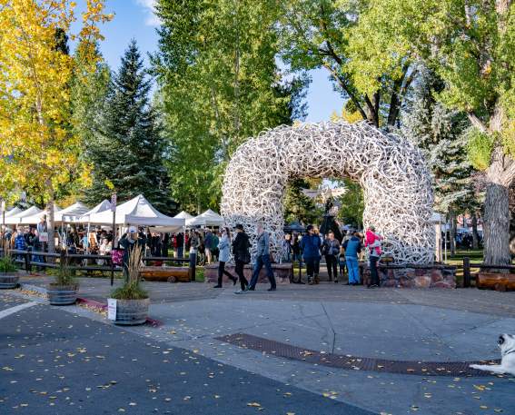 Jackson Hole Fall Arts Festival