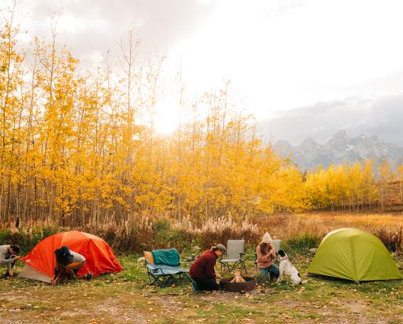 Camping Tetons