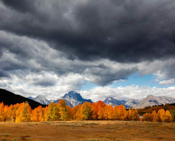Mt Moran Fall Colors - Jay Kazen