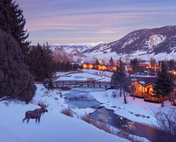 Rustic Inn - Winter