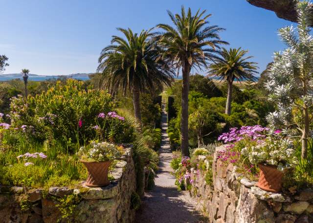 Tresco Abbey Garden
