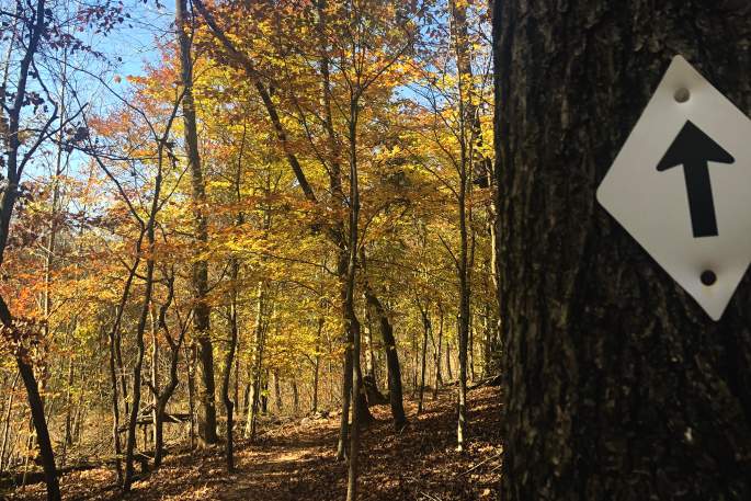 hiking trail with fall foliage