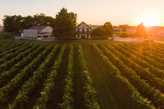 sunrise over Beachaven Vineyards and Winery