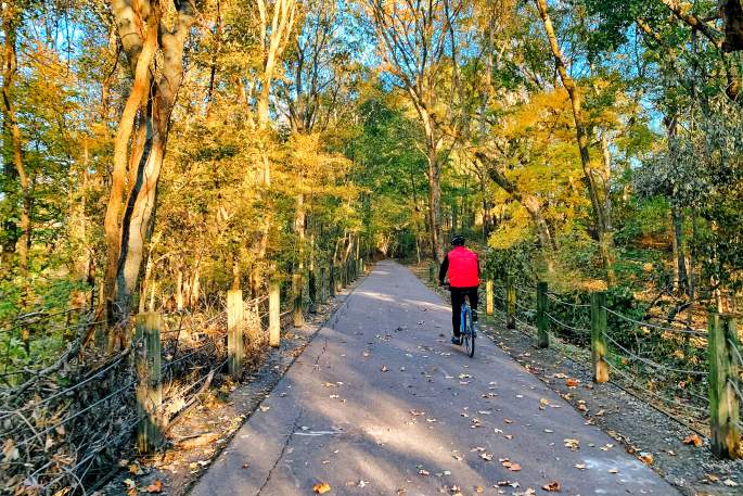 cyclist along the greenway during fall