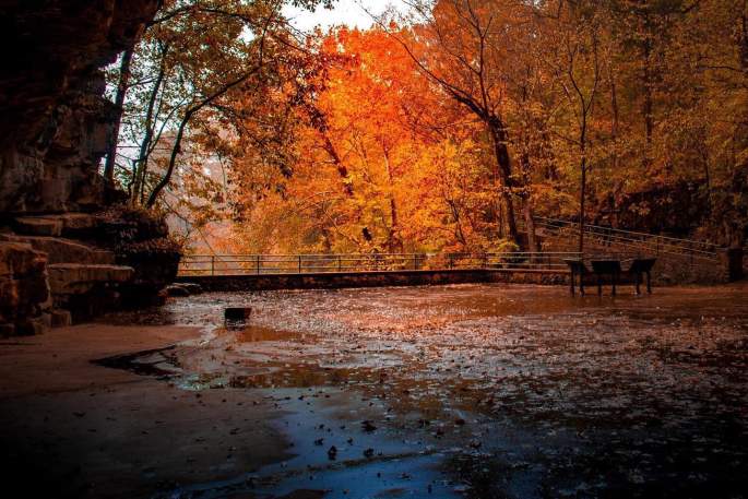 fall color looking outside of a cave