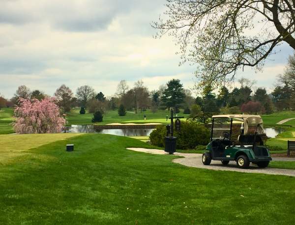 Golf course in the springtime