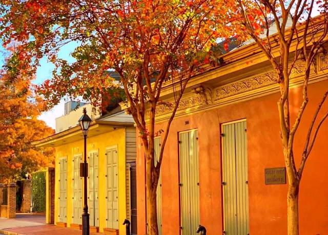French Quarter Fall Foliage