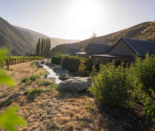 Villa's surrounded by a vineyard and mountains