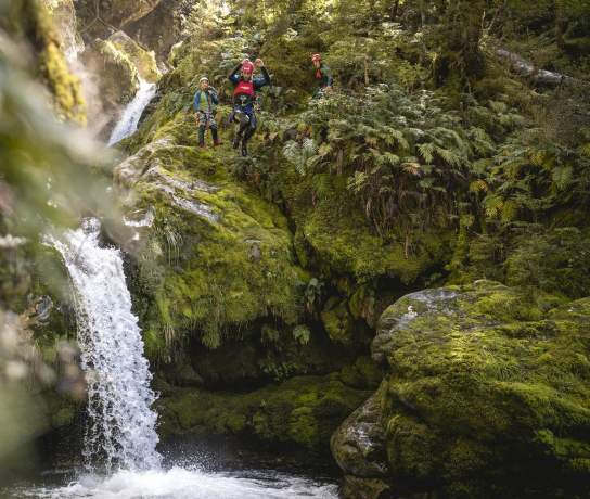 Man jumping off a waterfall surrounded by lush greenery