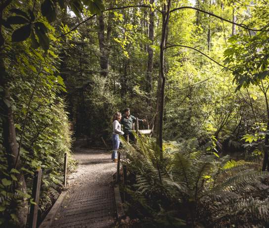 Two people surrounded by native bush at the kiwi park