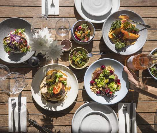 Top view of a selections of colourful lunch dishes