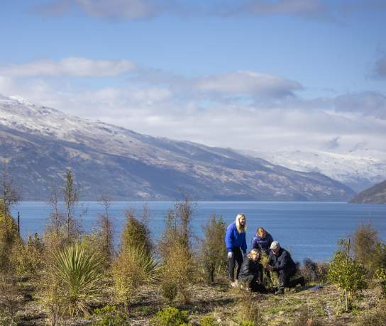 Group plating trees at at Jardine Park, Kelvin Heights,