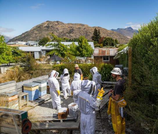Group of people on a honey tour dressed up in bee suits looking at the hives