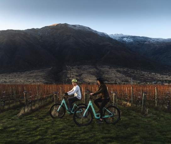 Winter through Gibbston Valley Winery