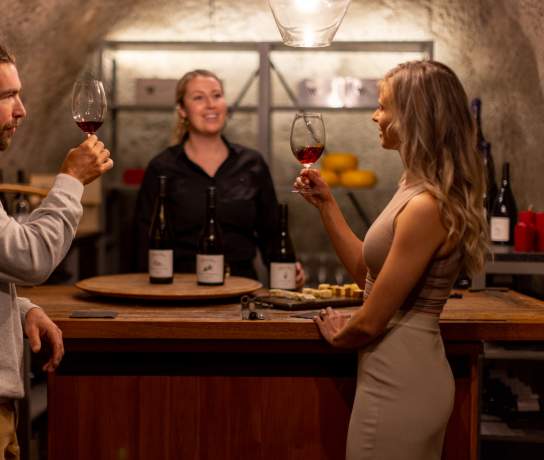People tasing wine