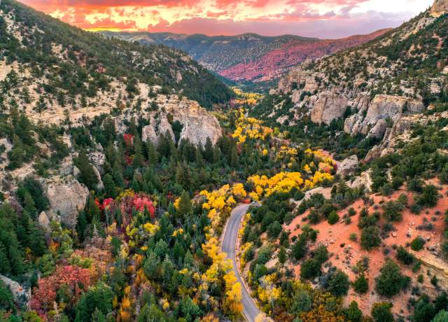 Fall Color