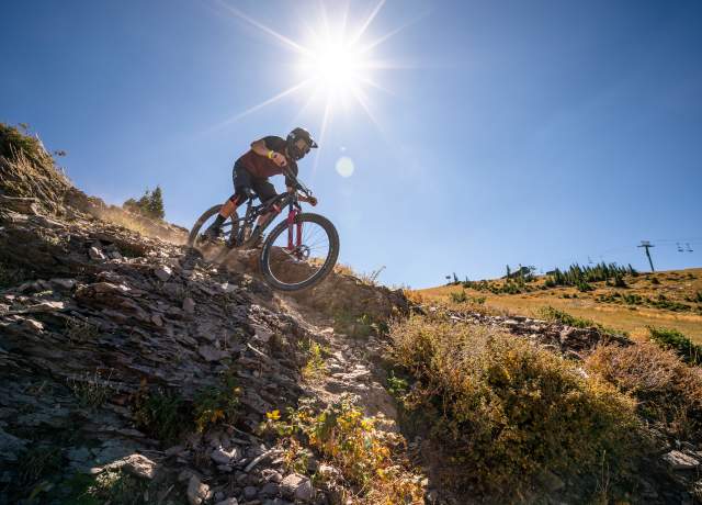 Brian Head Mountain Bike Park