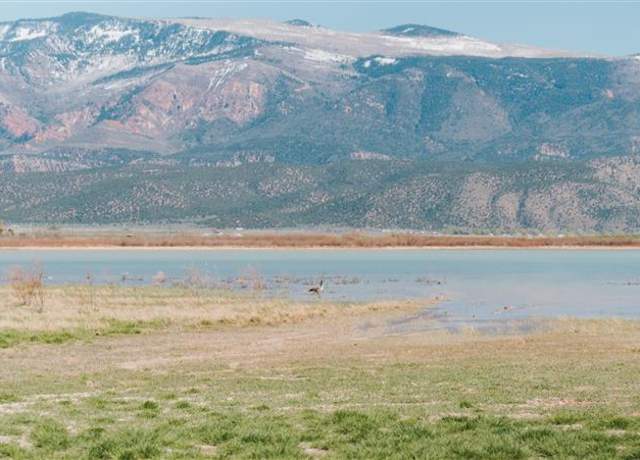 Quichapa Rec Area - Goose