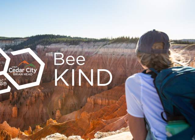 Bee Kind - Header Image (draft)