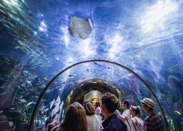 Audubon Aquarium