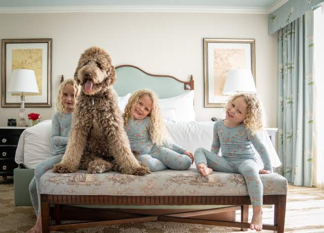 Pampered Pets Program - Windsor Court
