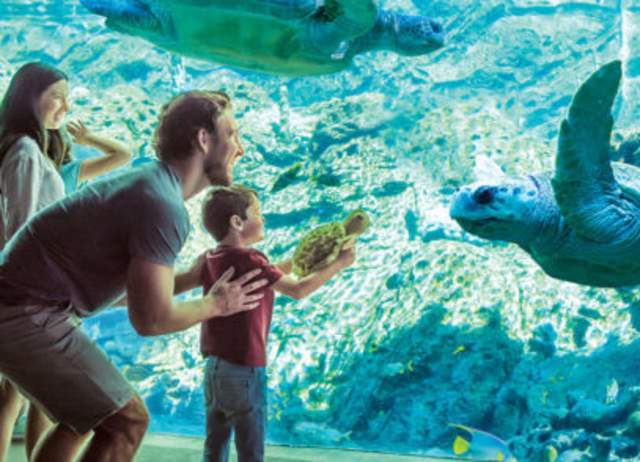 SeaWorld San Antonio & Aquatica